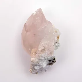 Beryl var. Morganite Terminated - w/ Cleavelendite & Green Tourmaline