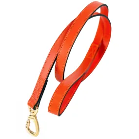 Daisy Dog Leash in Tangerine & Gold