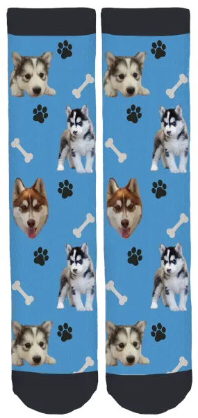 Husky Crew Socks